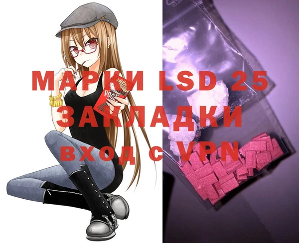 a pvp Каменногорск