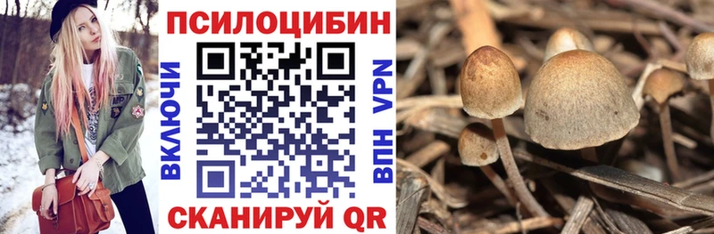 Галлюциногенные грибы Magic Shrooms  Купить  Узловая 